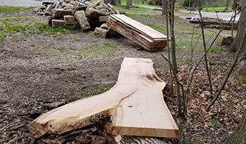 Amish Tree Service, tree cutting, tree trimming, tree removal, live edge slab, custom hard wood, John Mast Ohio Massillon