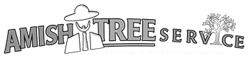 tree cutting, tree trimming, tree removal, live edge slab, custom hard wood, john mast ohio amish tree services